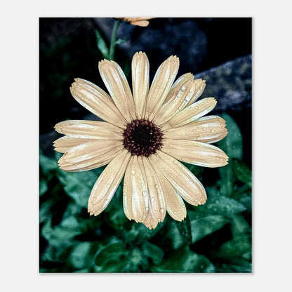 918de96e-2e1d-4f47-90d4-ed2a9666c23b