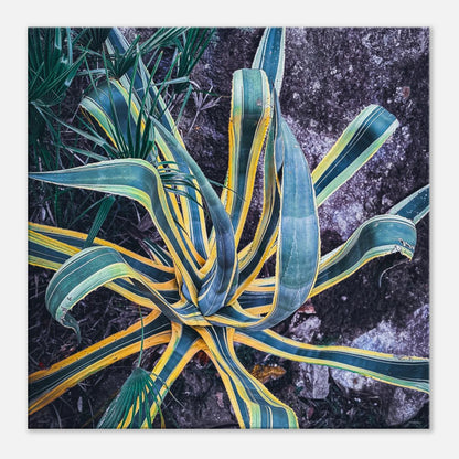 919c31c1-714d-43dc-946c-31aa40cda8b1