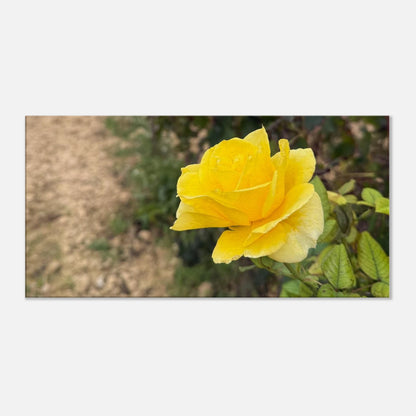 91e395ce-06ab-41a9-a2a5-fbf59cc8afcc