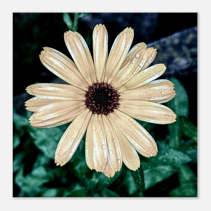 920b0137-76df-42ad-bf7a-5cb5b9286235
