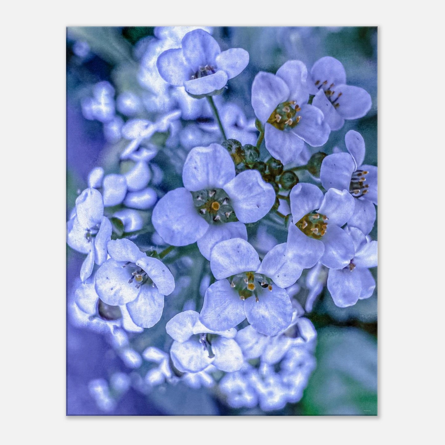 921a04cc-e638-4fb8-8d4d-198958d40e00