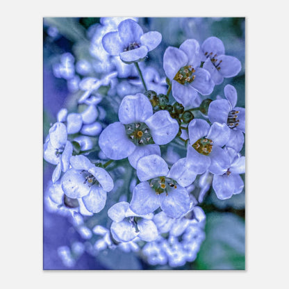 921a04cc-e638-4fb8-8d4d-198958d40e00