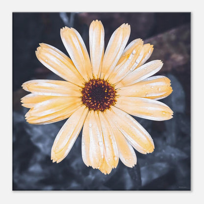 92328b8e-e312-4e10-abaa-4943422c487c