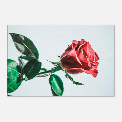 924235f2-c6be-4324-8e67-6b04f92ccbcf