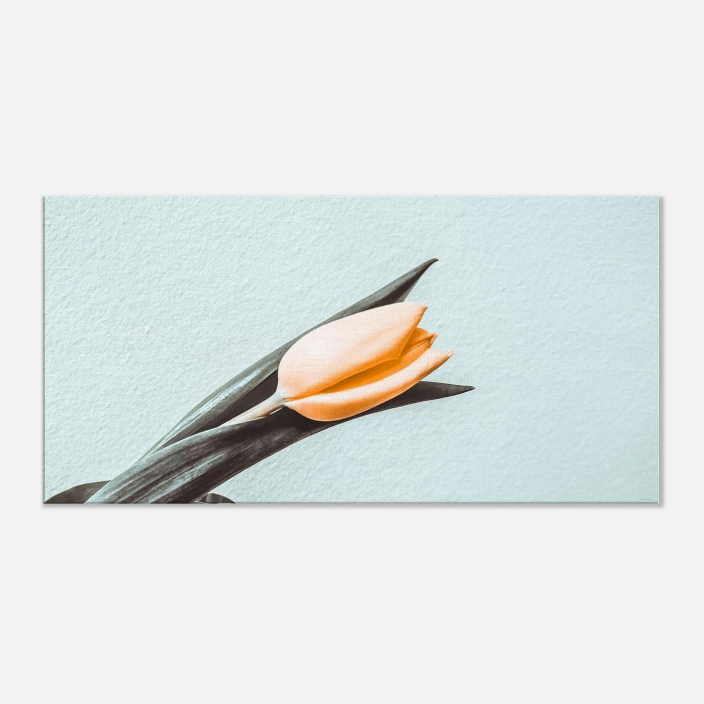 92595497-04f1-4956-b337-7bdbdf6317f3