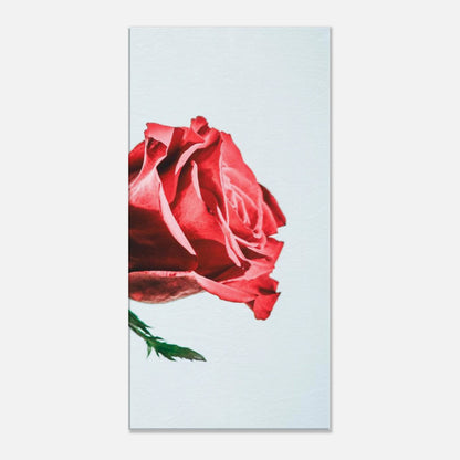 92736cbd-cdca-4c01-822c-fae98b945289