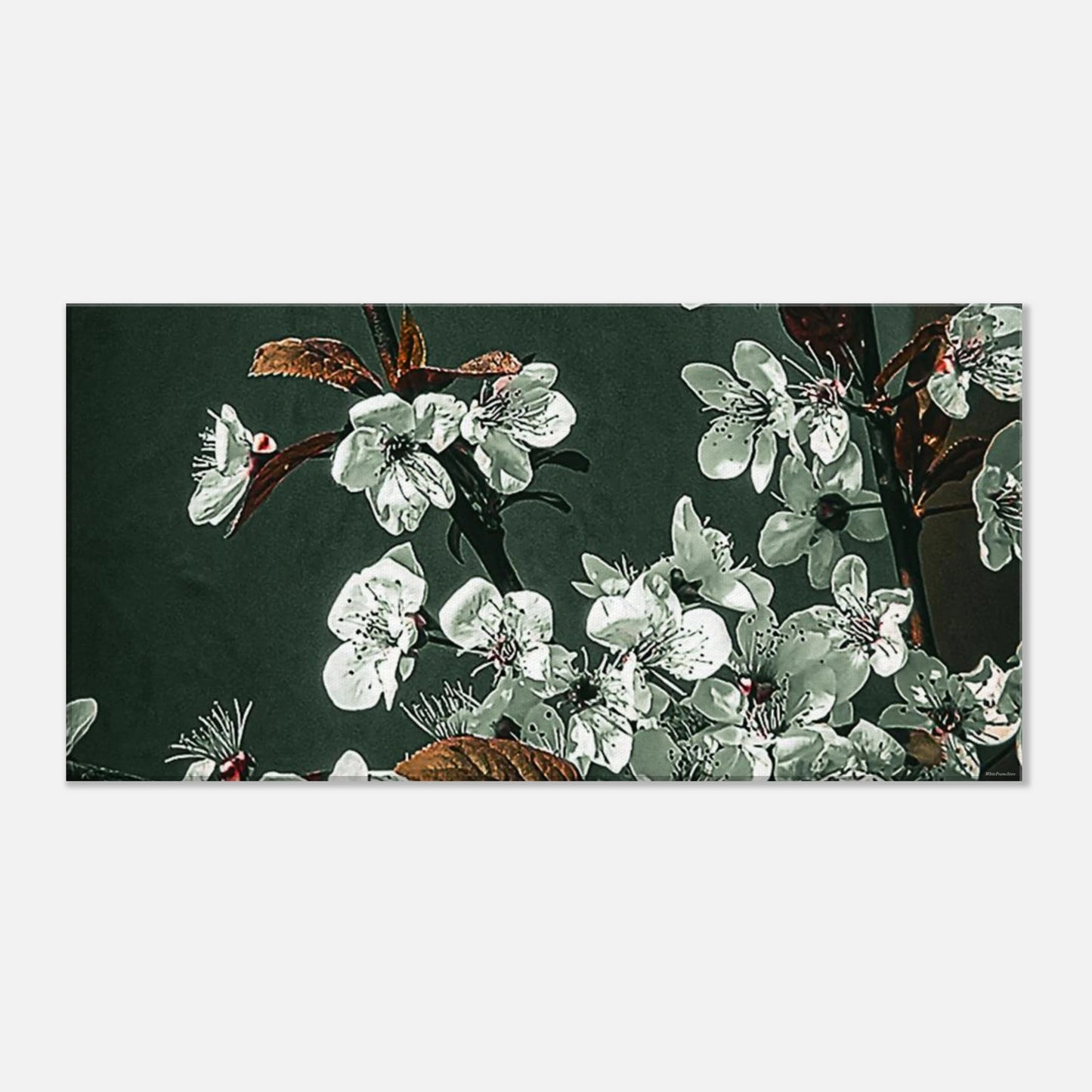 927dc522-67f5-4bdd-b318-36cc1f855665