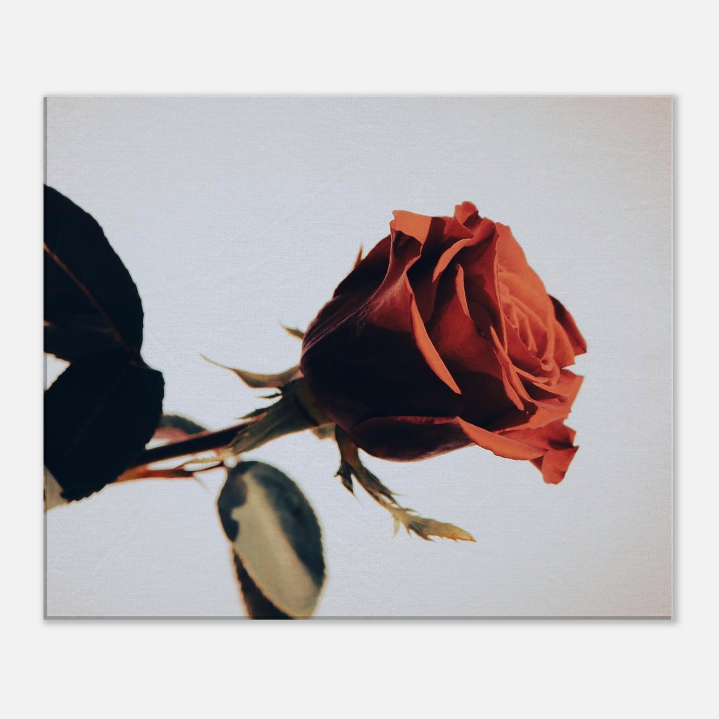 92dbbaba-8b47-4899-90bc-73ae94824280