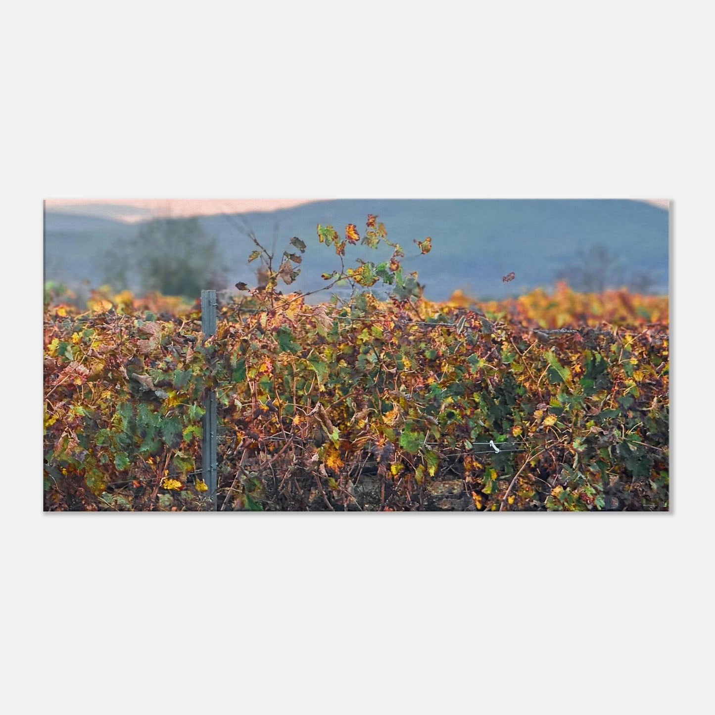 93072217-1ccd-40c1-82dc-3c4d41cfd16c