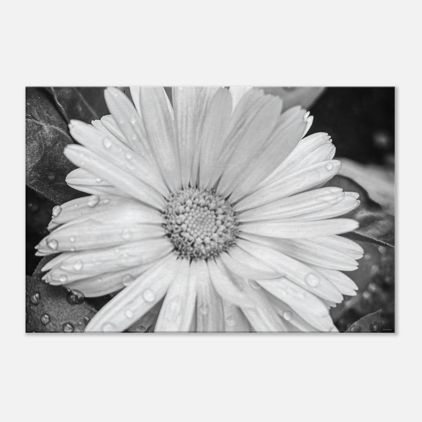 93192677-bb90-4d49-92b0-c831f428808f