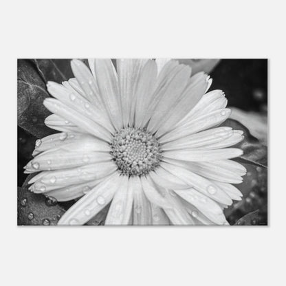 93192677-bb90-4d49-92b0-c831f428808f