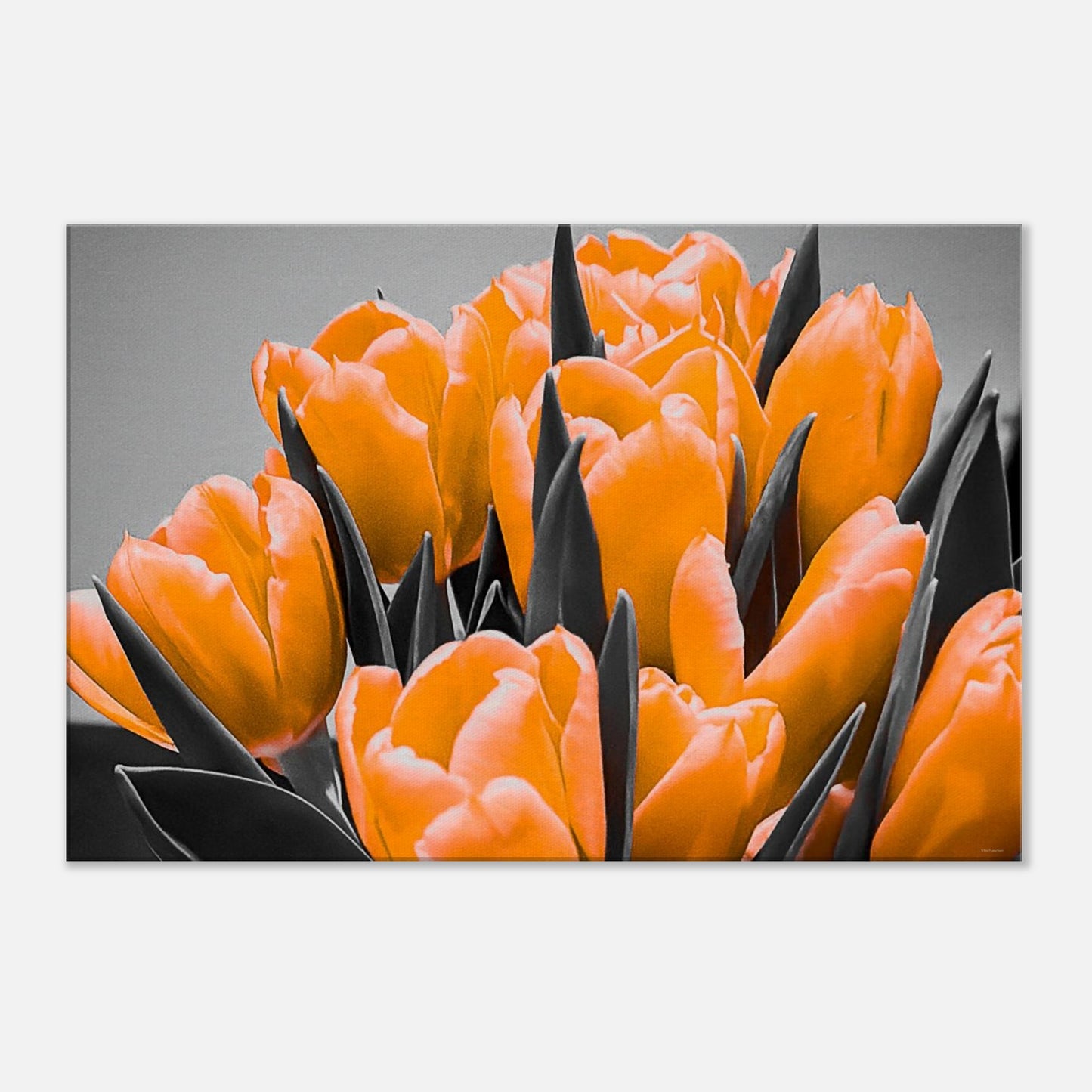 931a8db3-3cd6-4254-a1b2-9b75a7926fc8