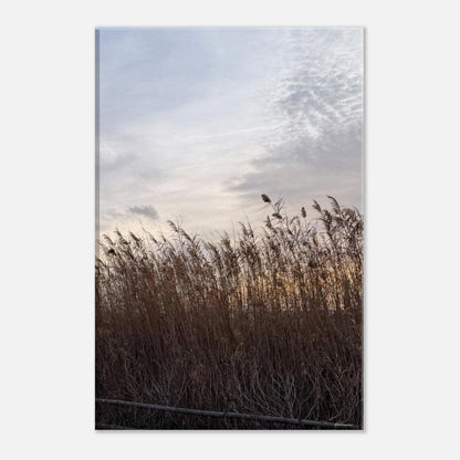 932a2a2a-3f2d-403c-9760-37f5b503ba39