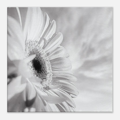 934fb737-2cd3-4cbe-85b0-6323808583a6