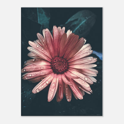 93766225-50d7-4c08-9d89-2fbfdb7cebef