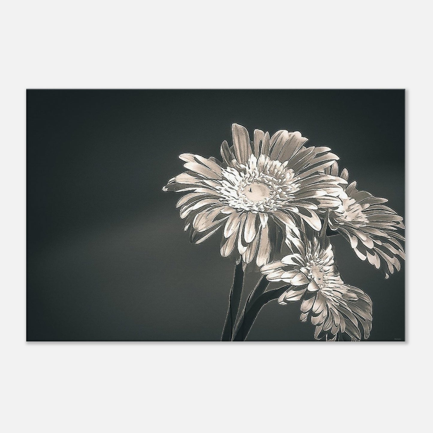 93b245f2-d785-467a-ba1c-5f1848174d5b