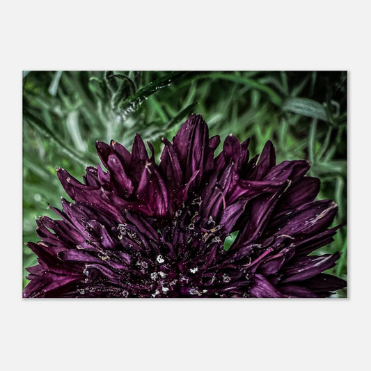 941210f6-4271-4110-a980-4fd53d76ee30