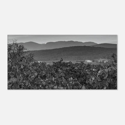 943002d5-7161-40e4-a31a-ce796d4ccb74