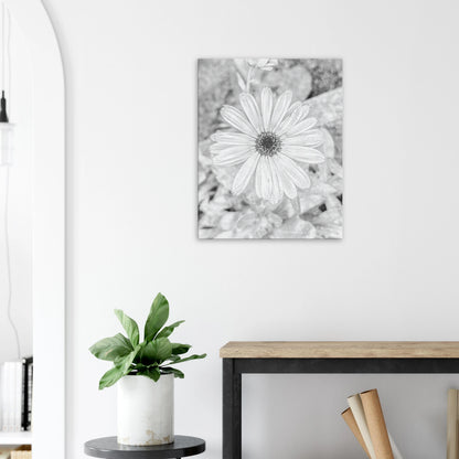 943c8f26-8c30-4225-9e3e-43c9d9fd76d0