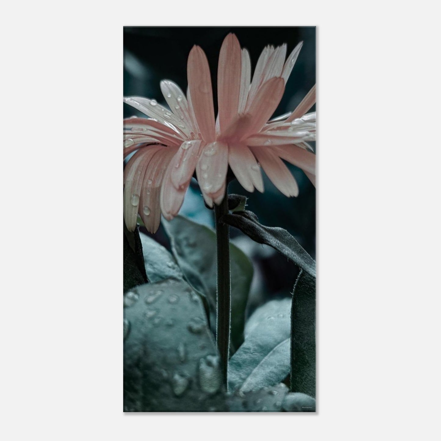 948a0a99-54ee-4887-b703-0d890c56654f