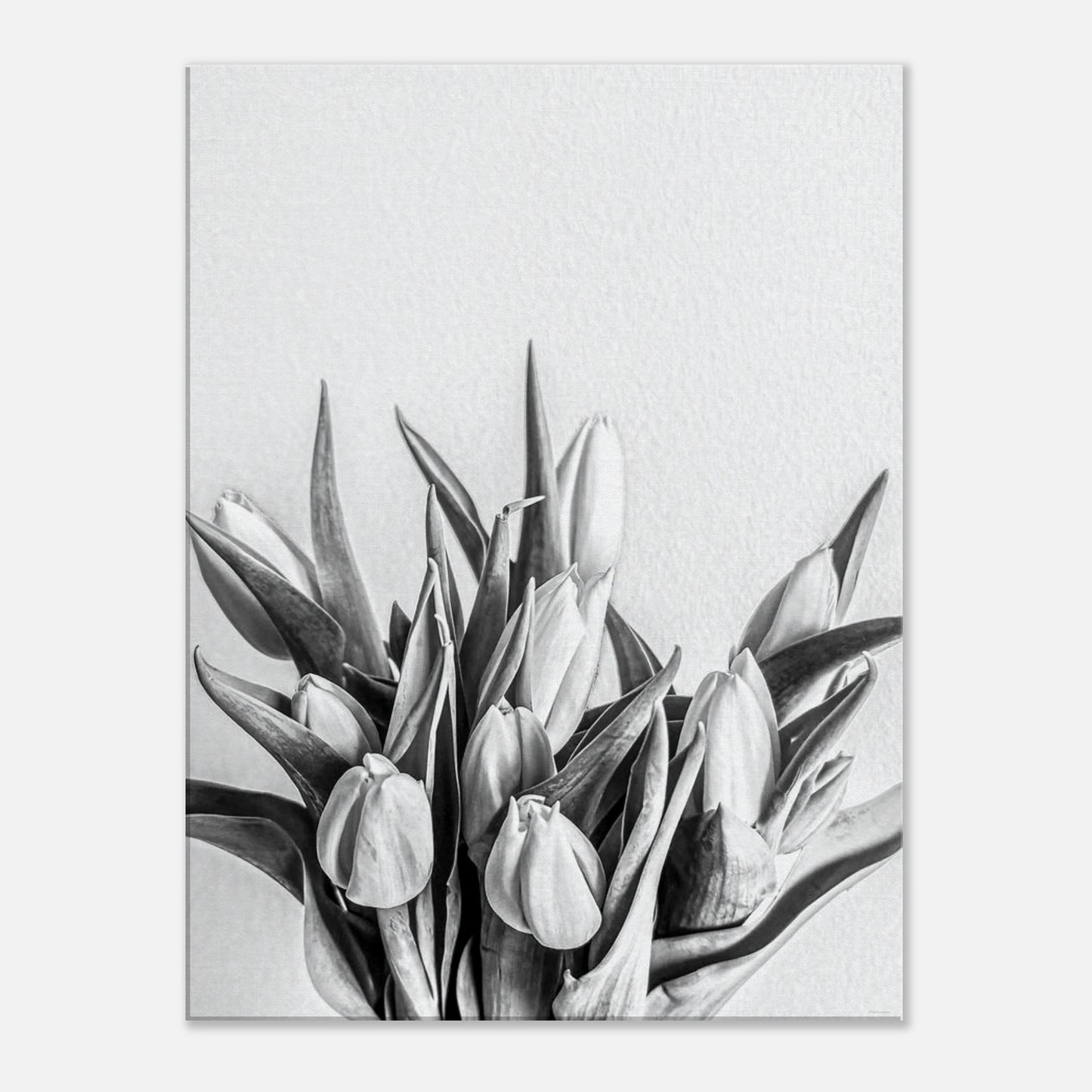 948eef01-0953-4f0b-8a5a-614bd19afa21