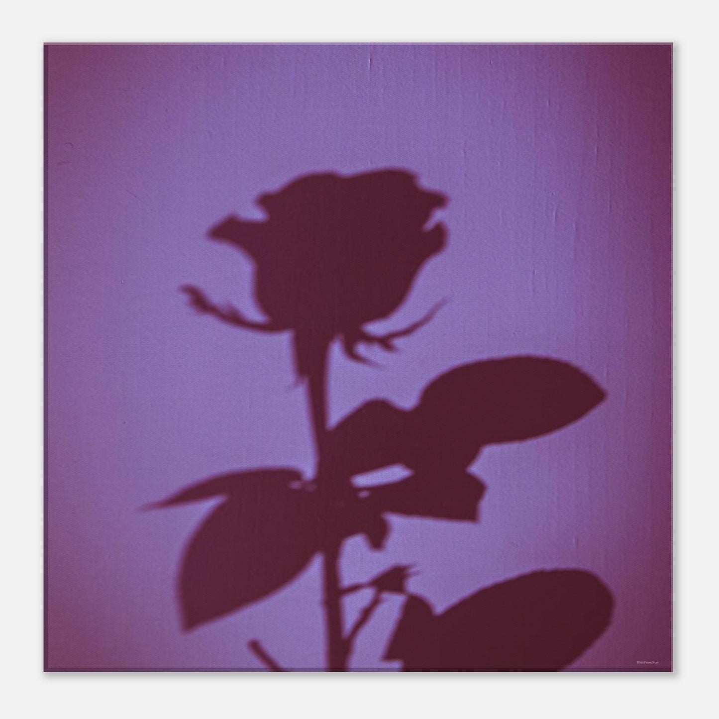 949462b5-11a5-49bd-a99f-6c183950c761