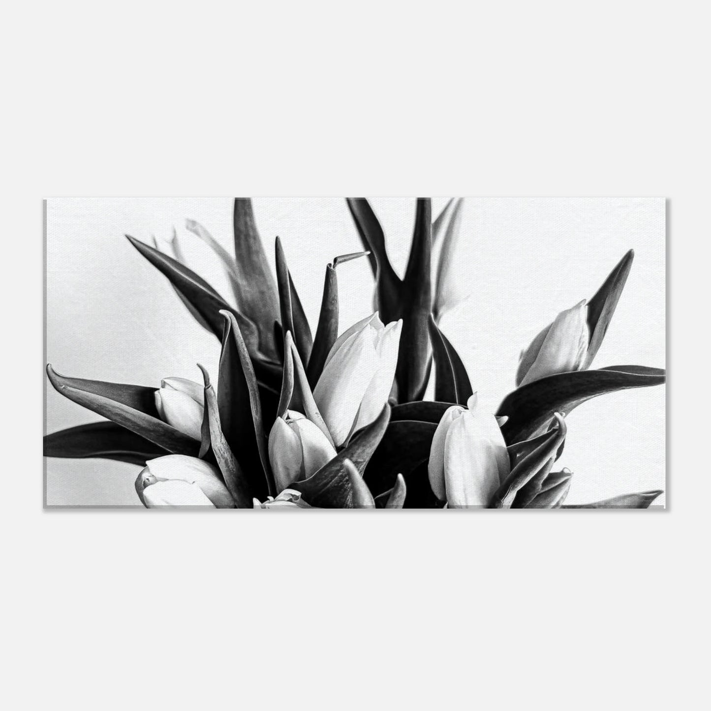 94ba35b3-b5ea-4ef9-88ed-2b672a40cb0a