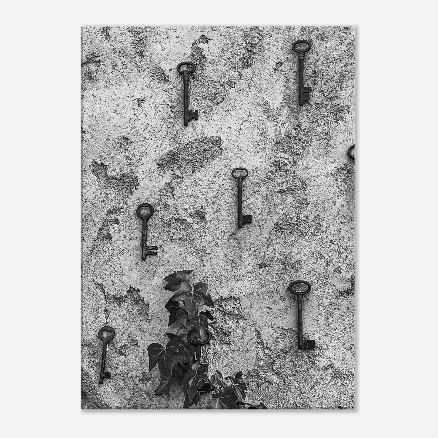 94d149b3-d6df-4dd7-b625-2d3d87a55b5f