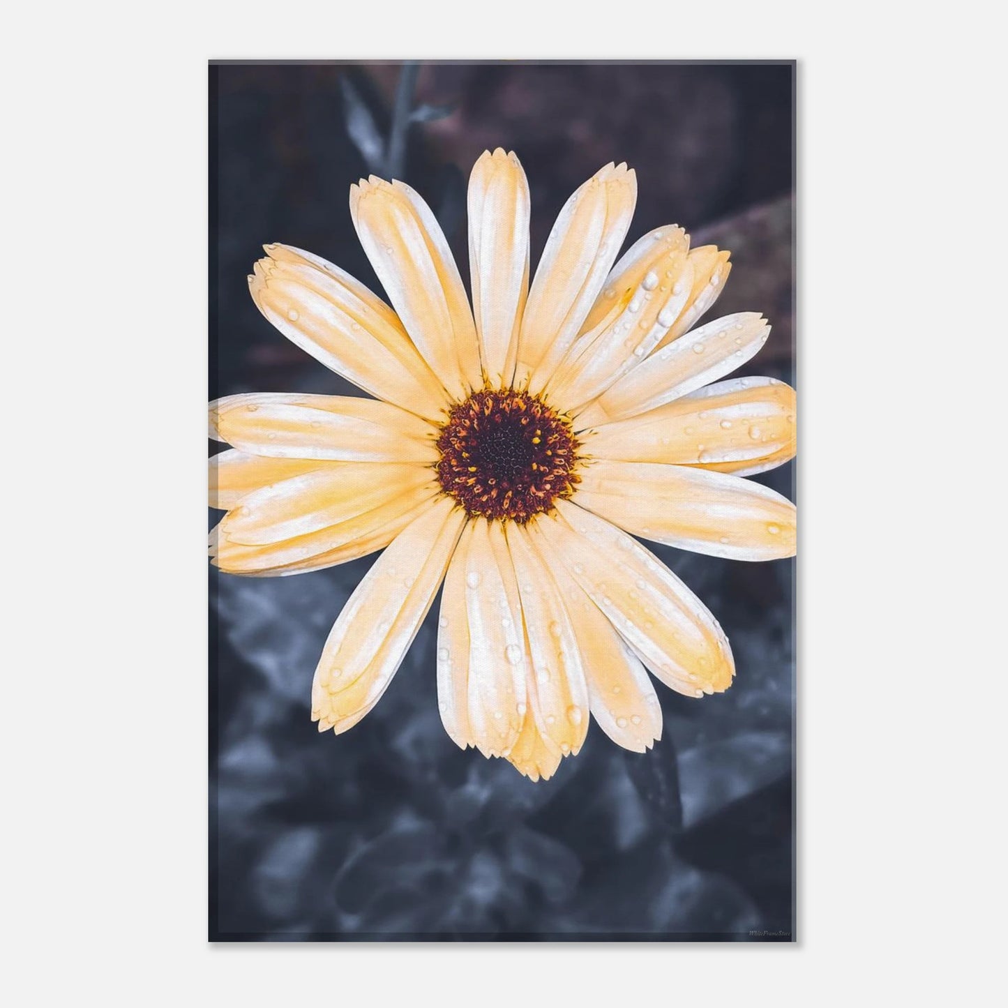 9530d042-4eb1-4e22-9e8d-2b83f370f5e1