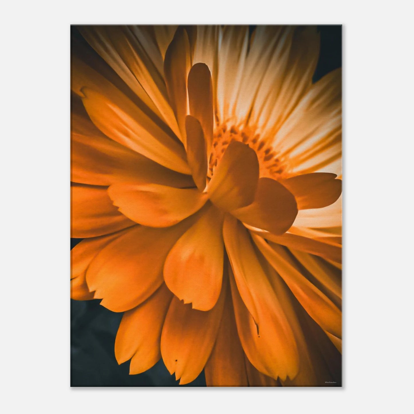 953925b2-016d-4a81-9073-8e5f9743467a