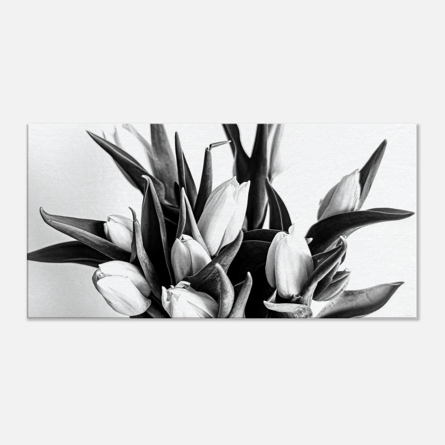 9573b2cc-cb27-4990-8c35-cd61a29fc464