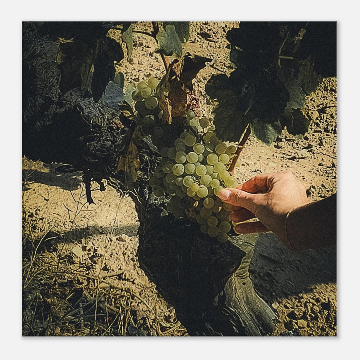 958195c2-e5eb-4591-bc5c-0a1ff06ad09f