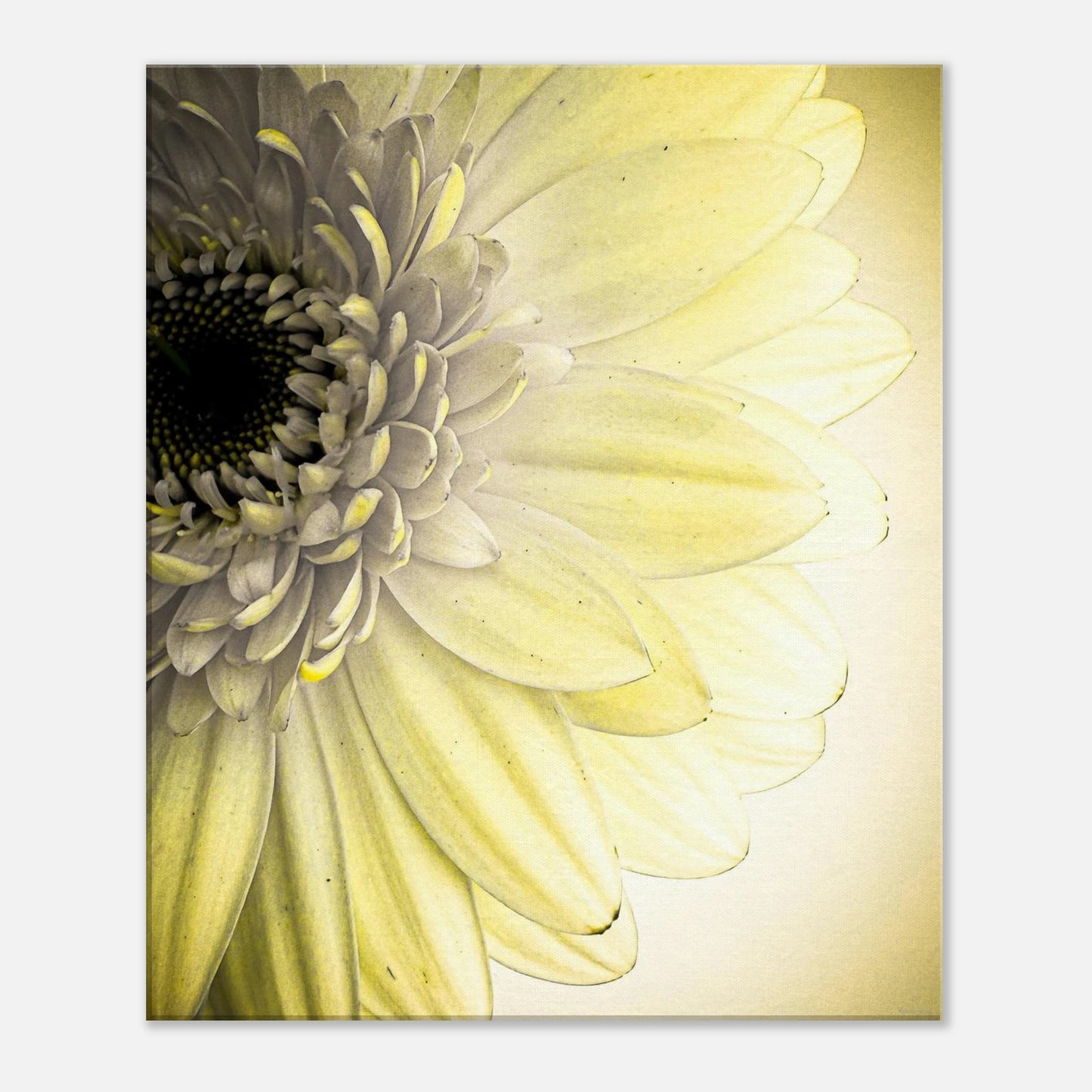 95833ce4-594c-440c-a215-eaaf93337edc