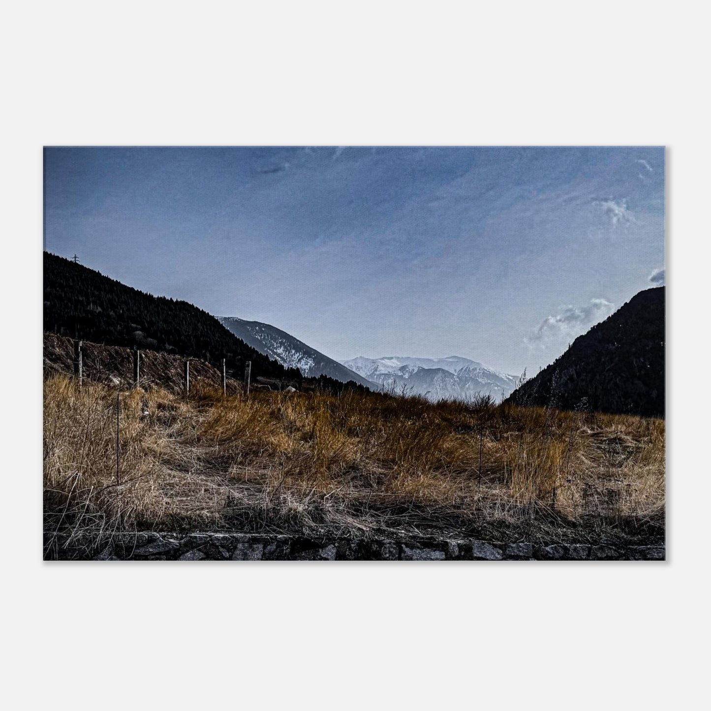 95ef33f0-ad43-4d94-ac15-78b2a6bd5d5c