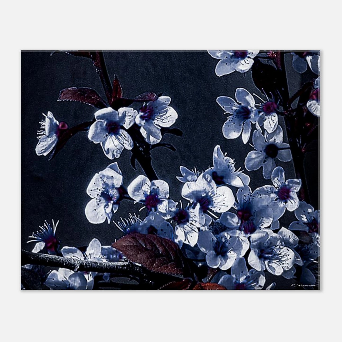 95f00543-cf0f-43fd-9945-bd89b20274c5