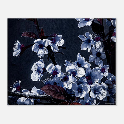 95f00543-cf0f-43fd-9945-bd89b20274c5