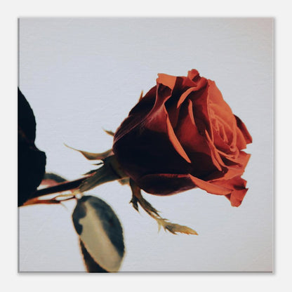 963bf8ae-511c-495b-9b65-a1c2cc7a8223