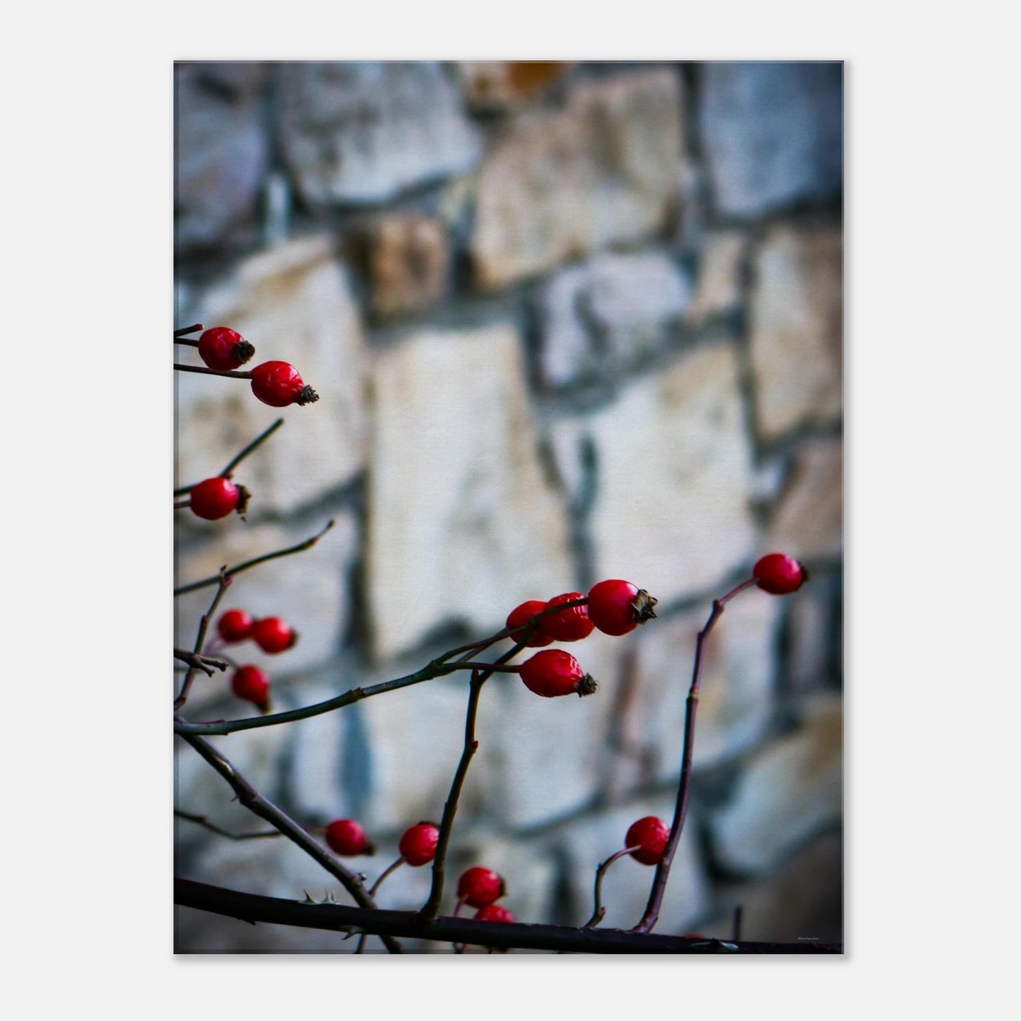 9648b7e0-ef12-4494-ad99-f0c966574724