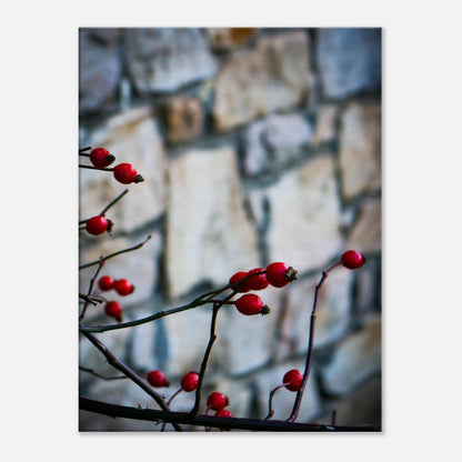 9648b7e0-ef12-4494-ad99-f0c966574724