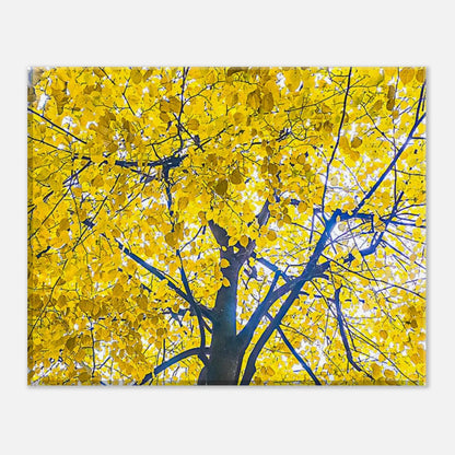 964985a4-c21f-4ab5-908a-cc298dd4d1ad