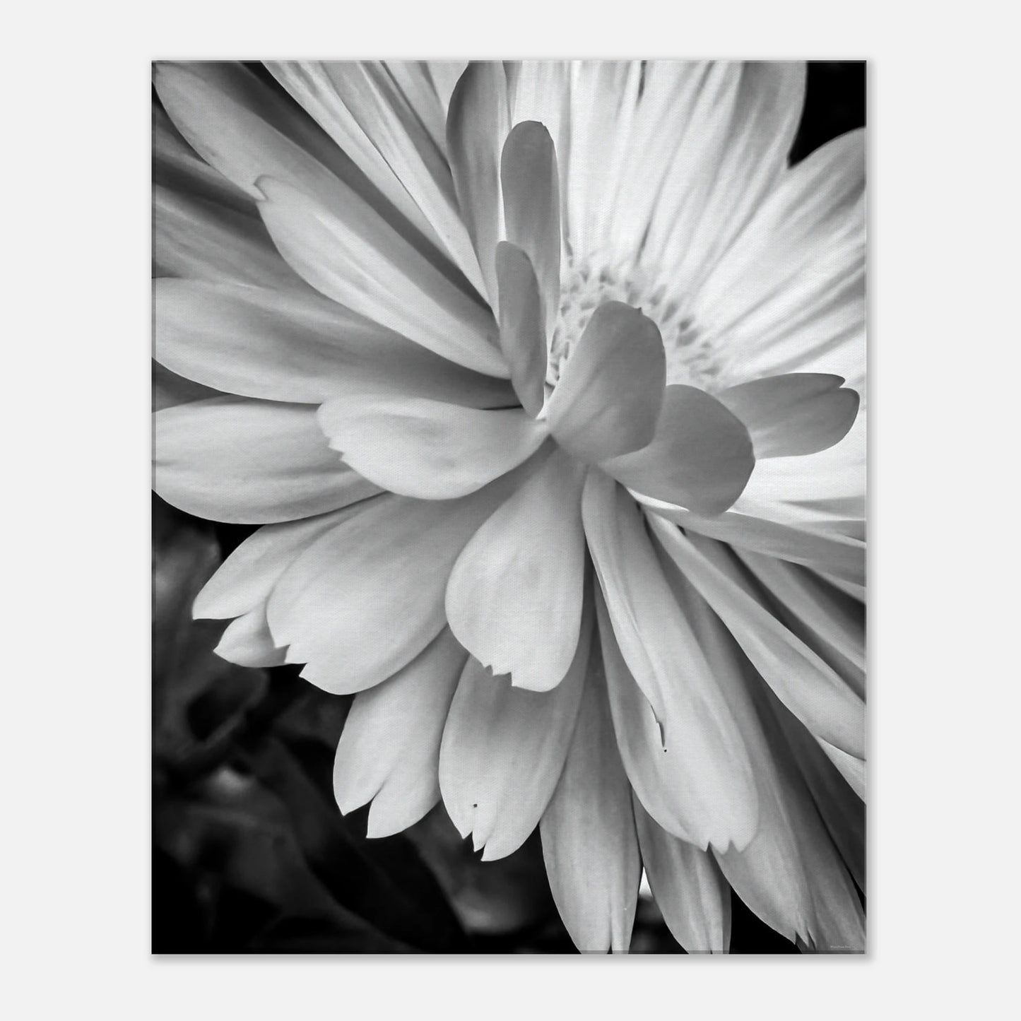 9672c77e-b02a-4a66-af20-340a4375a0ae