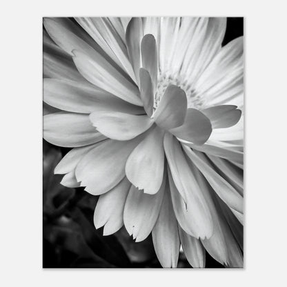 9672c77e-b02a-4a66-af20-340a4375a0ae