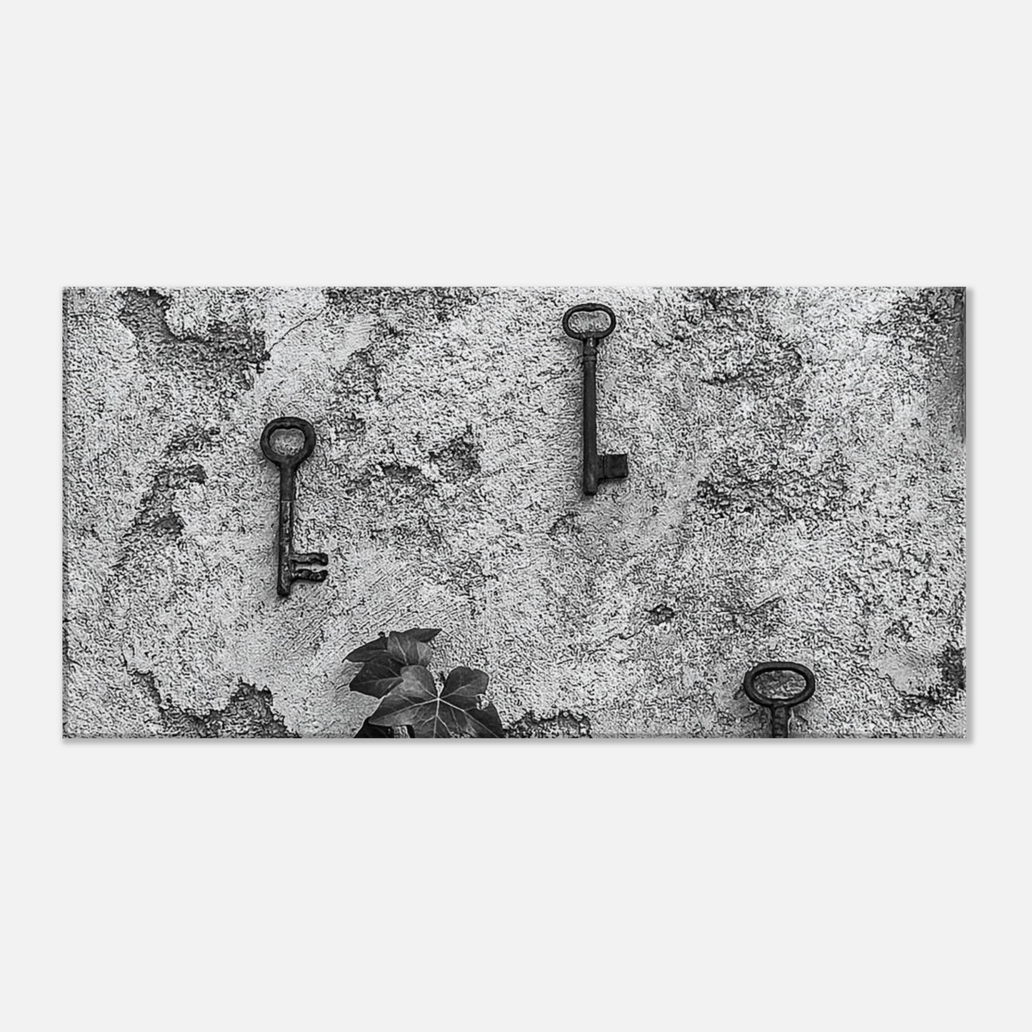 96730ba6-7fbd-47cf-a07b-1b025b3f4082