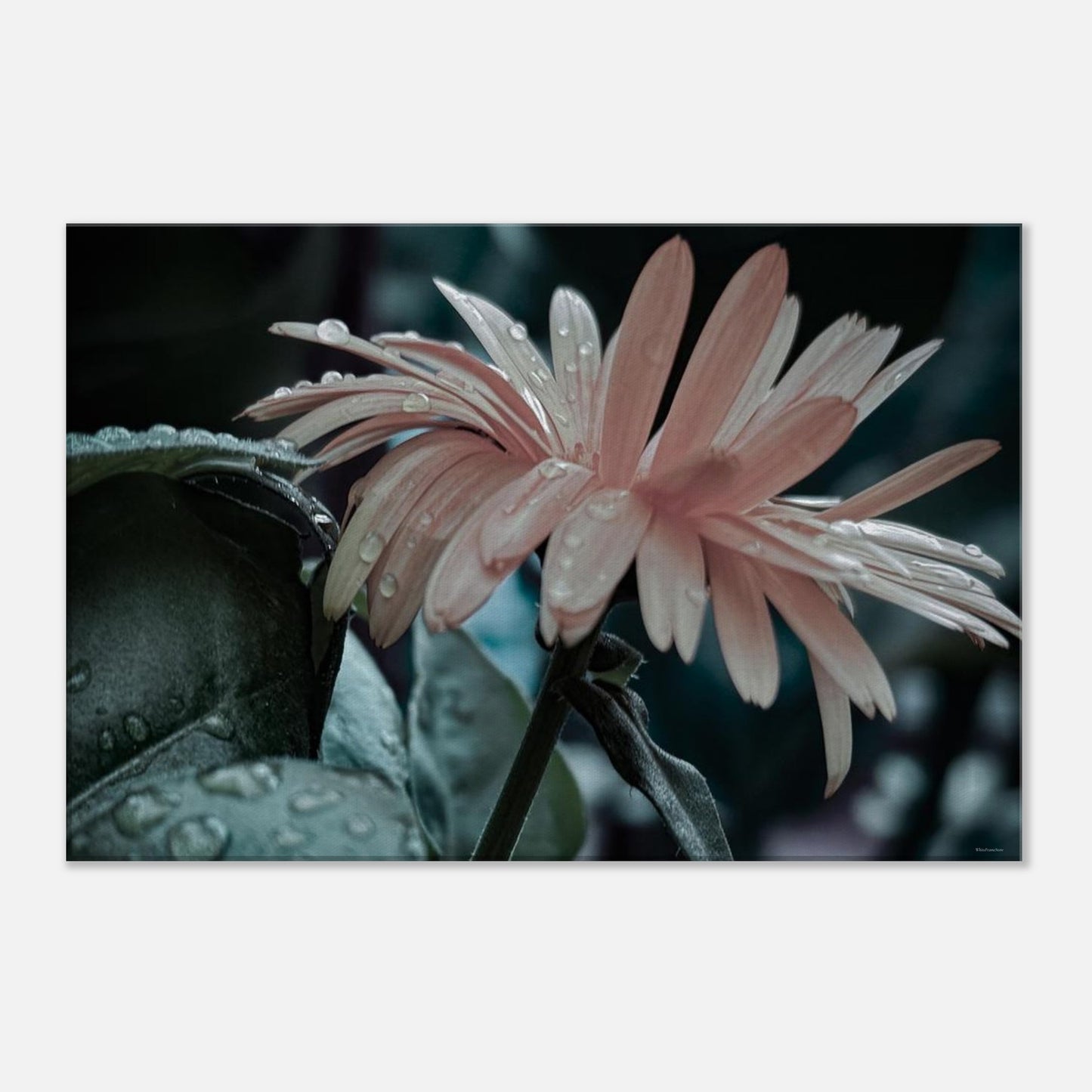 967388f3-153e-4195-a39c-0afd499d05d2