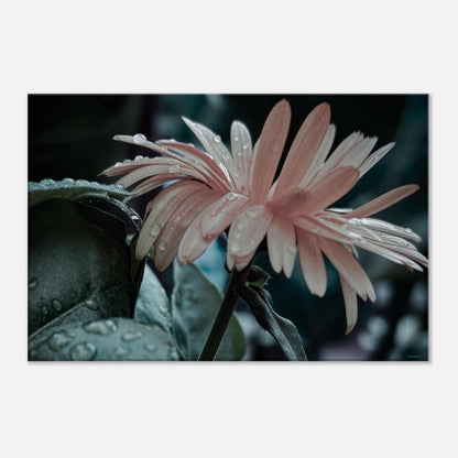 967388f3-153e-4195-a39c-0afd499d05d2