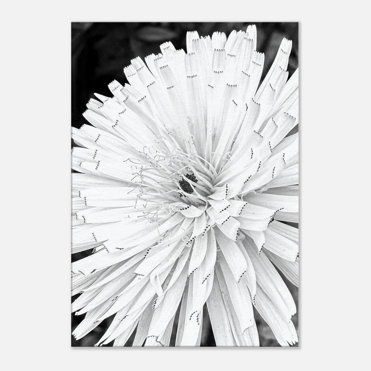 96753222-c9fb-4049-a120-15ae810b9bf2