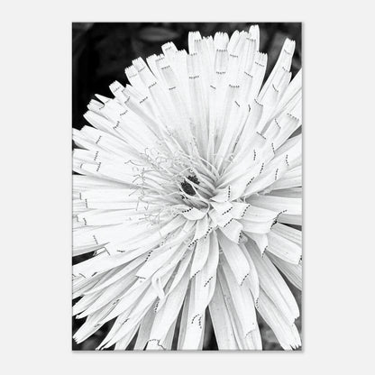 96753222-c9fb-4049-a120-15ae810b9bf2