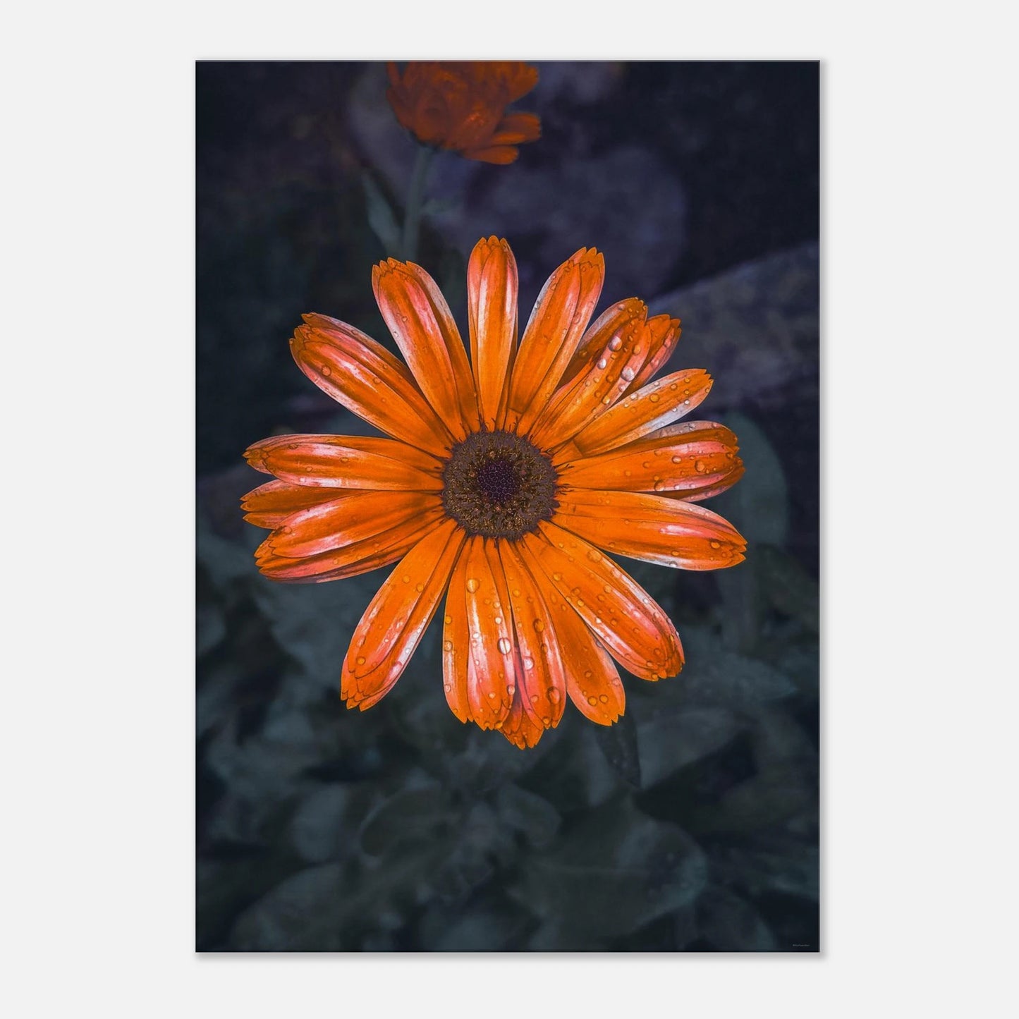 96a2ba7d-1da9-4174-ac7b-94f98b8cbdc2