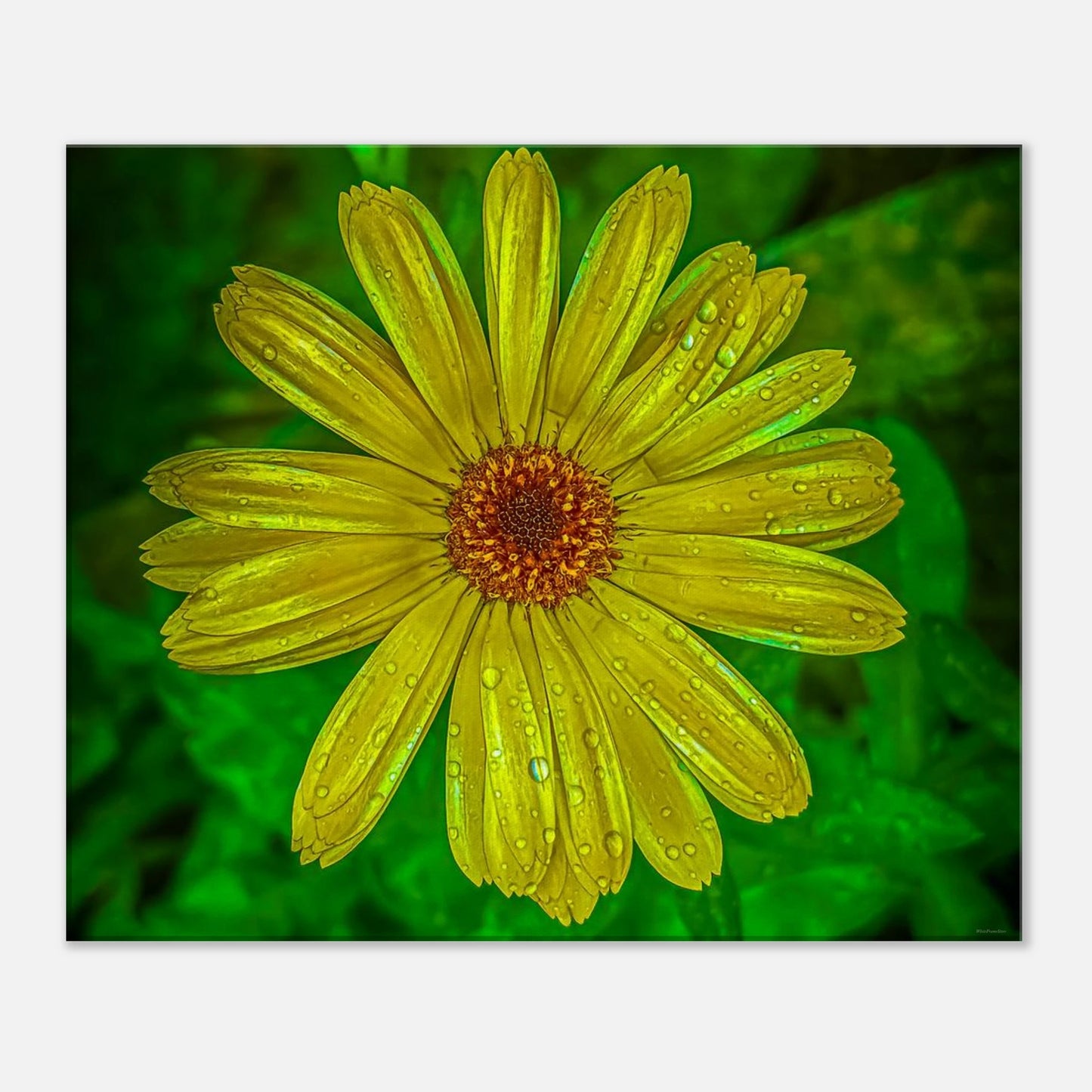 96adeed7-74f2-4c96-84f9-2560676059fc