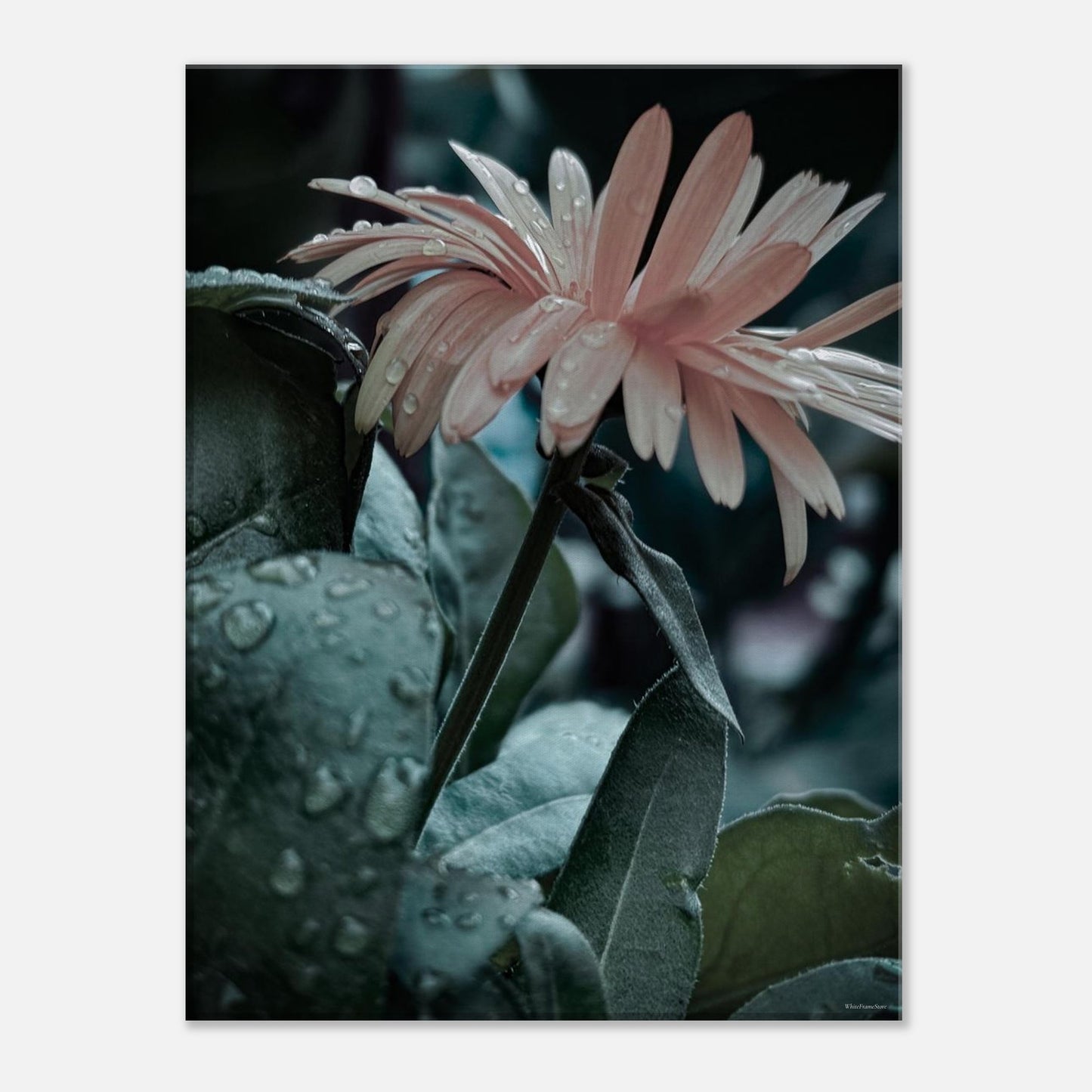 96afaf78-ca19-41f4-9f70-39dd27cb175c